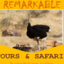 Remakable Travel Remakable Travel