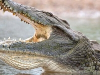 At Ruaha River