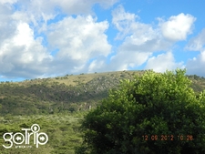 Enchanting Africa Wildlife Photos