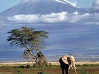Mount Kilimanjaro Mount Kilimanjaro
