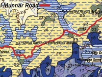 800px K M Road Vegetation Map 800px K M Road Vegetation Map