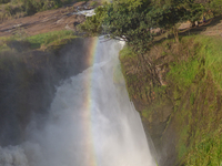 Murchison Falls Safari