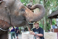 JUNGLE SAFARI IN THAILAND