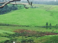 Horton Plains (little England) Horton Plains (little England)