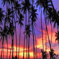 Tropicalway Tours Tropicalway Tours