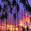 Tropicalway Tours Tropicalway Tours
