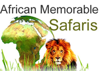 African Safaris