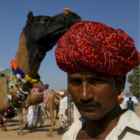 Ranvijay Singh Ranvijay Singh