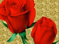 Rose 1 Rose 1