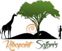 Kibopointsafaris Kibopointsafaris