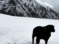 Kashmir Tour Packages India