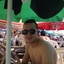Achraf Zinai Achraf Zinai