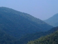 12 0cce2fa2 917845 800 12 0cce2fa2 917845 800