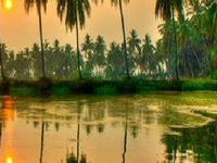 Vasai 6