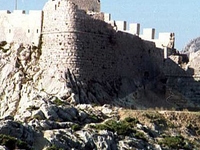 Omis Fortica