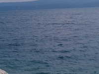 Imag0348