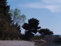 Imag0405