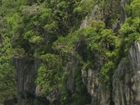 Palawan Underground River