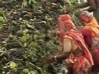 46329318 Bangladesh 46329318 Bangladesh