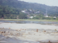 Tamabil