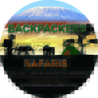Backpackers Safaris Backpackers Safaris