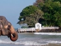 The Gateway to paradise - Visit Sri lanka The Gateway to paradise - Visit Sri lanka