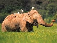 Sri Lanka Sri Lanka