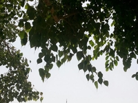 Img 20150705 Wa0014 Img 20150705 Wa0014