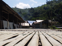 Bidayuh Longhouse