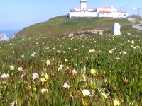 Cape Rock Cape Rock