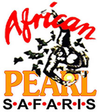 African Safaris