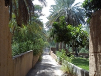 Oman_EliteTravelTourism_BirkatAlMauz