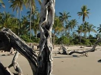 Saadani National Park