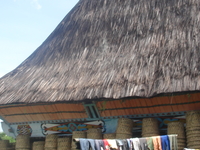 Dsc00009