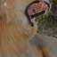 Ewamanns Safaris Ewamanns Safaris