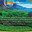 Munnar Travels Munnar Travels