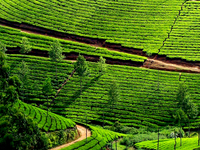Munnar Munnar