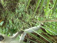 Img 0831