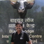 Jayesh Bagde