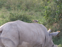 Sdc11730 Sdc11730