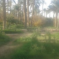 Abdelkader Khalfoun