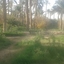 Abdelkader Khalfoun