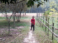 Img 20151204 115158