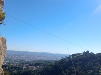 Cimg4335