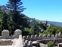 Cimg4364