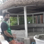 Rajib Kibria