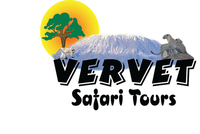 Vervet Tanzania