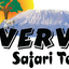 Vervet Tanzania Vervet Tanzania