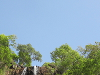 Bee Fall - Pachmarhi
