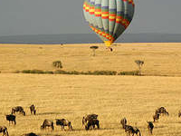 Balloon Safaris In Masai Mara. Balloon Safaris In Masai Mara.